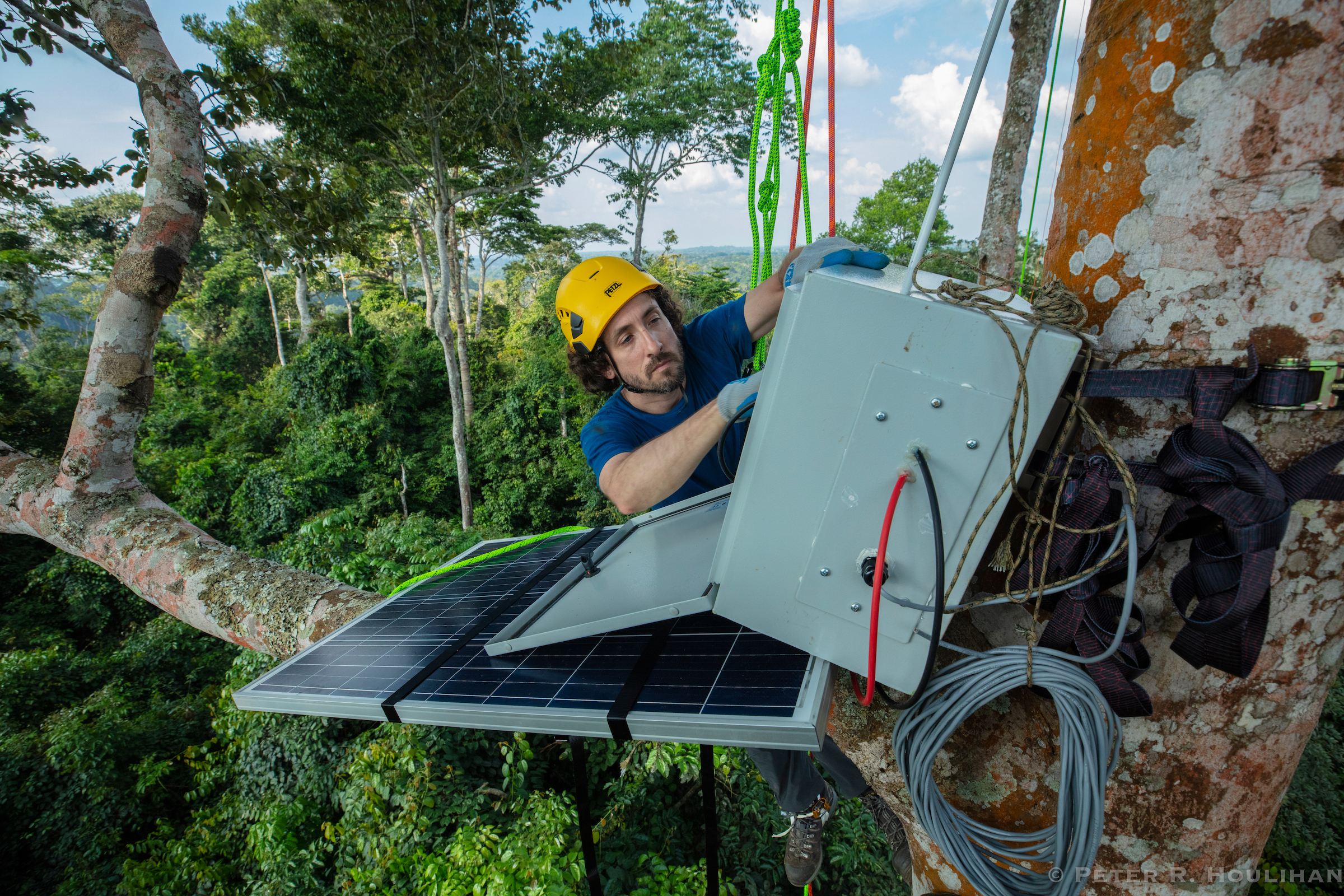 A FieldKit LoRa gateway is installed high in a tree in Cameroon