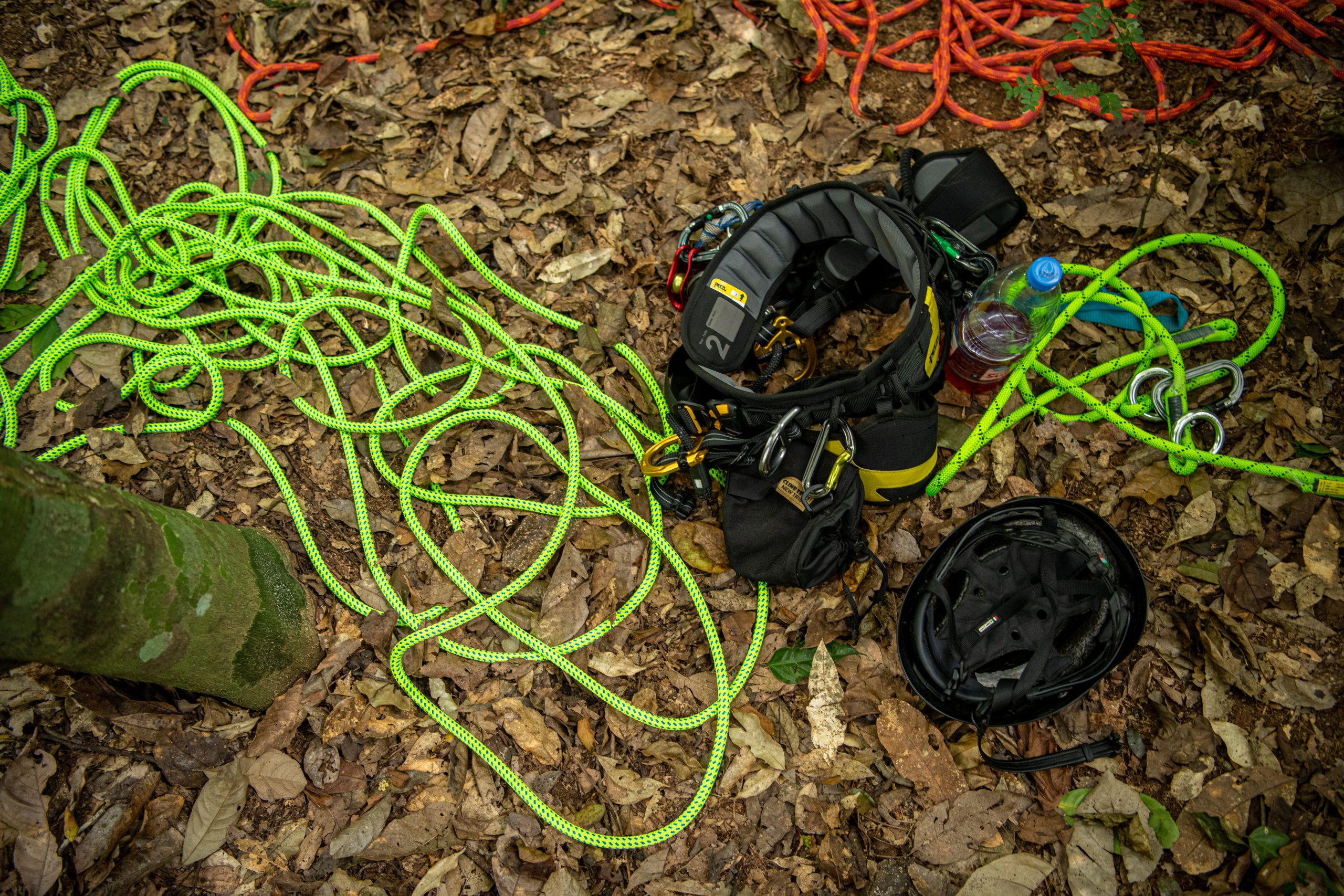 Climbing equipment for deployment in the Cameroonian forest