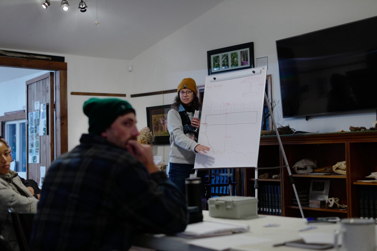 Woman at whiteboard explaining a drawing of a potential installation in from of two other people sitting down